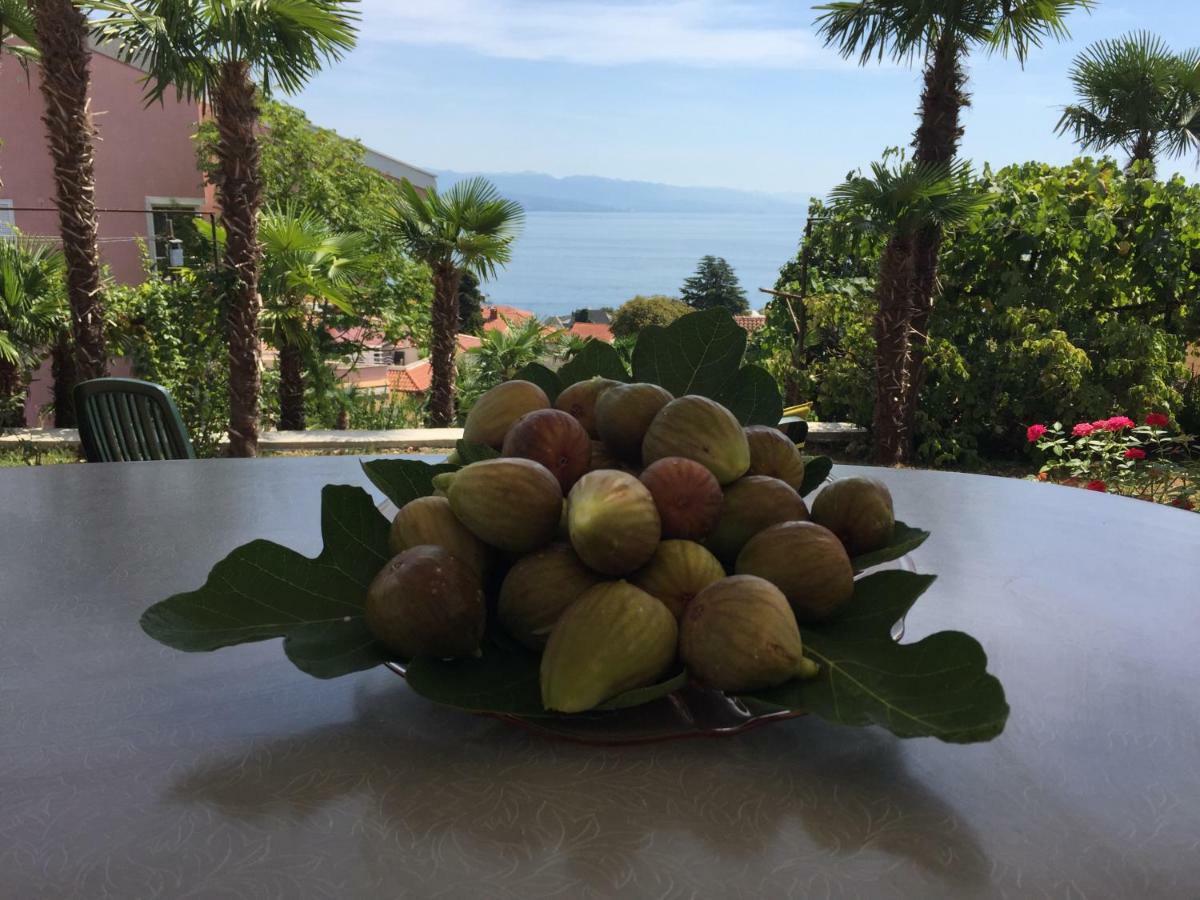 Anicic Apartment Opatija Exterior foto